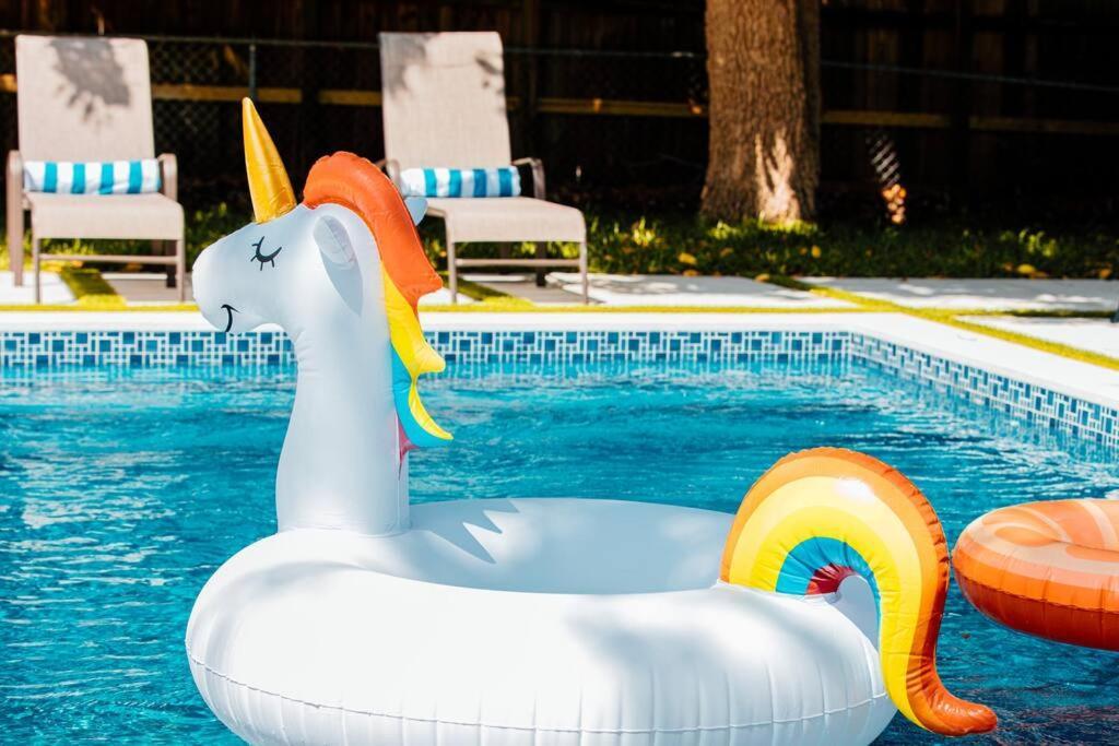 New Miami Home, Pool Near Airport And Beaches, King Bed Zewnętrze zdjęcie